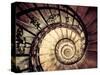 Hungary, Budapest, St; Stephen Cathedral (Szent Istvan Bazilika), Staircase to Dome-Michele Falzone-Stretched Canvas