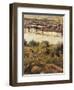 Hungary, Budapest, View of Budapest from a Slope of Mount St Gerard, Detail-null-Framed Giclee Print