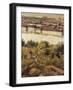 Hungary, Budapest, View of Budapest from a Slope of Mount St Gerard, Detail-null-Framed Giclee Print