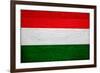 Hungary Flag Design with Wood Patterning - Flags of the World Series-Philippe Hugonnard-Framed Art Print