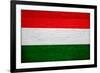 Hungary Flag Design with Wood Patterning - Flags of the World Series-Philippe Hugonnard-Framed Art Print