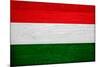 Hungary Flag Design with Wood Patterning - Flags of the World Series-Philippe Hugonnard-Mounted Art Print