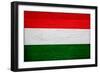 Hungary Flag Design with Wood Patterning - Flags of the World Series-Philippe Hugonnard-Framed Art Print