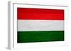 Hungary Flag Design with Wood Patterning - Flags of the World Series-Philippe Hugonnard-Framed Art Print