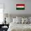 Hungary Flag Design with Wood Patterning - Flags of the World Series-Philippe Hugonnard-Framed Stretched Canvas displayed on a wall