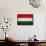 Hungary Flag Design with Wood Patterning - Flags of the World Series-Philippe Hugonnard-Framed Stretched Canvas displayed on a wall