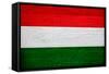 Hungary Flag Design with Wood Patterning - Flags of the World Series-Philippe Hugonnard-Framed Stretched Canvas