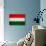 Hungary Flag Design with Wood Patterning - Flags of the World Series-Philippe Hugonnard-Art Print displayed on a wall