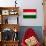 Hungary Flag Design with Wood Patterning - Flags of the World Series-Philippe Hugonnard-Art Print displayed on a wall