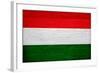 Hungary Flag Design with Wood Patterning - Flags of the World Series-Philippe Hugonnard-Framed Art Print