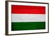 Hungary Flag Design with Wood Patterning - Flags of the World Series-Philippe Hugonnard-Framed Art Print