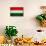 Hungary Flag Design with Wood Patterning - Flags of the World Series-Philippe Hugonnard-Mounted Art Print displayed on a wall