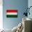 Hungary Flag Design with Wood Patterning - Flags of the World Series-Philippe Hugonnard-Mounted Art Print displayed on a wall