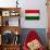 Hungary Flag Design with Wood Patterning - Flags of the World Series-Philippe Hugonnard-Mounted Art Print displayed on a wall