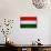 Hungary Flag Design with Wood Patterning - Flags of the World Series-Philippe Hugonnard-Mounted Art Print displayed on a wall