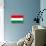 Hungary National Flag Poster Print-null-Poster displayed on a wall