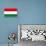 Hungary National Flag Poster Print-null-Poster displayed on a wall