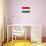 Hungary National Flag Poster Print-null-Mounted Poster displayed on a wall