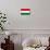 Hungary National Flag Poster Print-null-Mounted Poster displayed on a wall