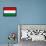 Hungary National Flag Poster Print-null-Framed Poster displayed on a wall