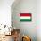 Hungary National Flag Poster Print-null-Framed Poster displayed on a wall