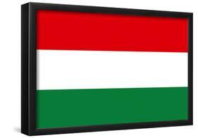 Hungary National Flag Poster Print-null-Framed Poster