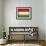 Hungary-David Bowman-Framed Giclee Print displayed on a wall