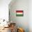 Hungary-David Bowman-Stretched Canvas displayed on a wall