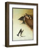 Hungry Mouths, 2011-Pat Scott-Framed Giclee Print