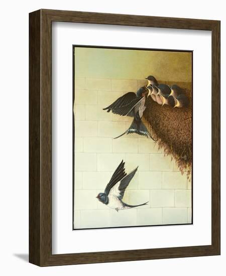 Hungry Mouths, 2011-Pat Scott-Framed Giclee Print