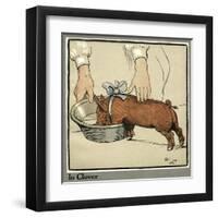 Hungry Peter as a Growing Piglet Drinking from a Bowl-Cecil Aldin-Framed Art Print