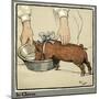 Hungry Peter as a Growing Piglet Drinking from a Bowl-Cecil Aldin-Mounted Art Print