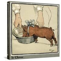 Hungry Peter as a Growing Piglet Drinking from a Bowl-Cecil Aldin-Stretched Canvas