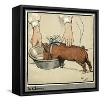 Hungry Peter as a Growing Piglet Drinking from a Bowl-Cecil Aldin-Framed Stretched Canvas