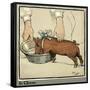 Hungry Peter as a Growing Piglet Drinking from a Bowl-Cecil Aldin-Framed Stretched Canvas