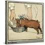 Hungry Peter as a Growing Piglet Drinking from a Bowl-Cecil Aldin-Stretched Canvas