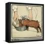 Hungry Peter as a Growing Piglet Drinking from a Bowl-Cecil Aldin-Framed Stretched Canvas