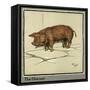 Hungry Peter as a Piglet Looking for Food-Cecil Aldin-Framed Stretched Canvas