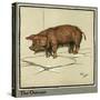 Hungry Peter as a Piglet Looking for Food-Cecil Aldin-Stretched Canvas