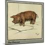 Hungry Peter as a Piglet Looking for Food-Cecil Aldin-Mounted Art Print