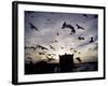 Hungry Seagulls Silhouetted Againt the Sunset in the Harbour at Essaouira, Morocco-Fergus Kennedy-Framed Photographic Print