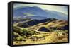 Hungry Valley-Emil Kosa, Jr.-Framed Stretched Canvas