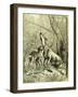 Hunt Austria 1887-null-Framed Giclee Print