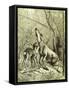 Hunt Austria 1887-null-Framed Stretched Canvas