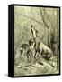 Hunt Austria 1887-null-Framed Stretched Canvas