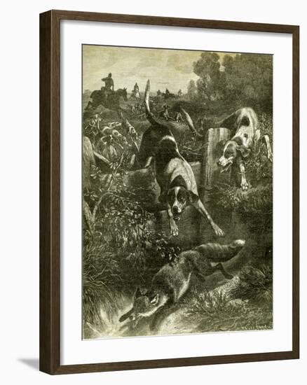 Hunt Austria Fox 1891-null-Framed Giclee Print