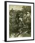 Hunt Austria Fox 1891-null-Framed Giclee Print