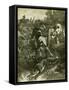 Hunt Austria Fox 1891-null-Framed Stretched Canvas
