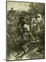 Hunt Austria Fox 1891-null-Mounted Giclee Print