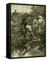 Hunt Austria Fox 1891-null-Framed Stretched Canvas